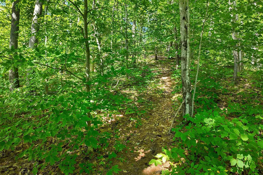 0 Country Drive Conway NH 03813