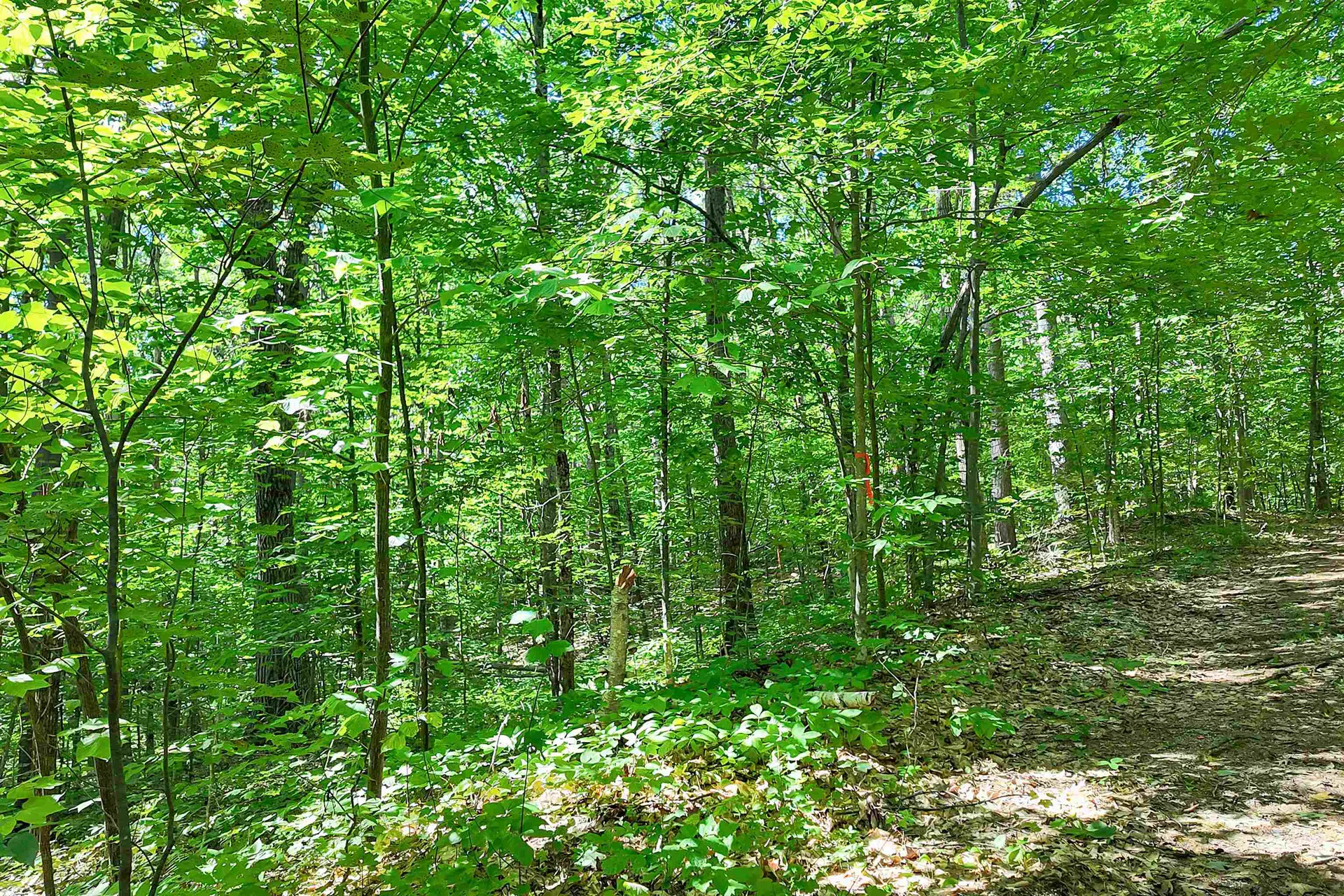 0 Country Drive Conway NH 03813
