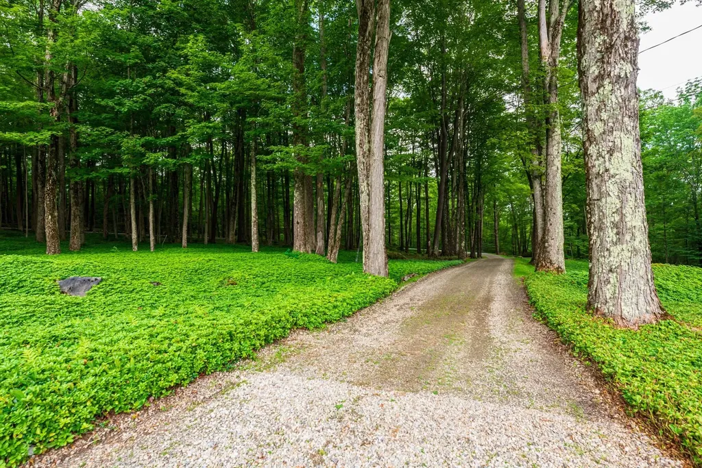 81 Fern Hill Dorset VT 05251