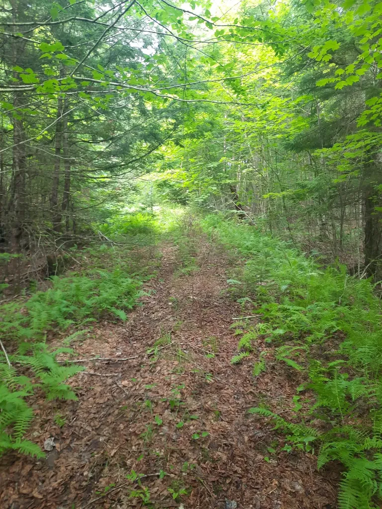 100 Mountain View Lane Norton VT 05907