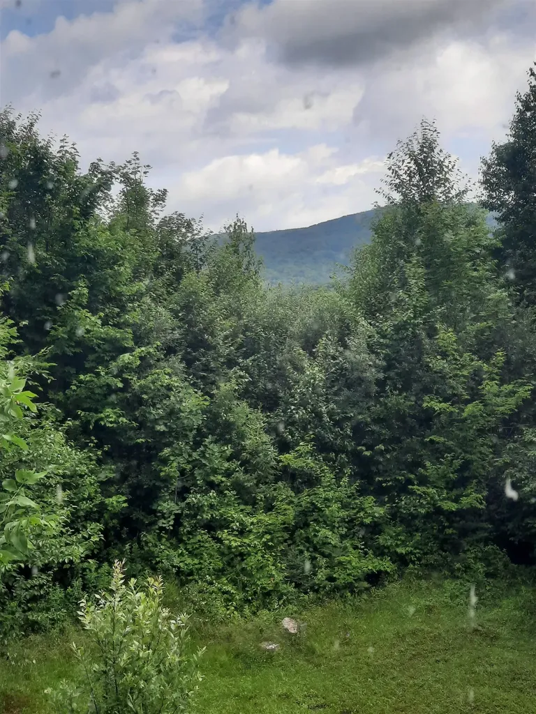 100 Mountain View Lane Norton VT 05907