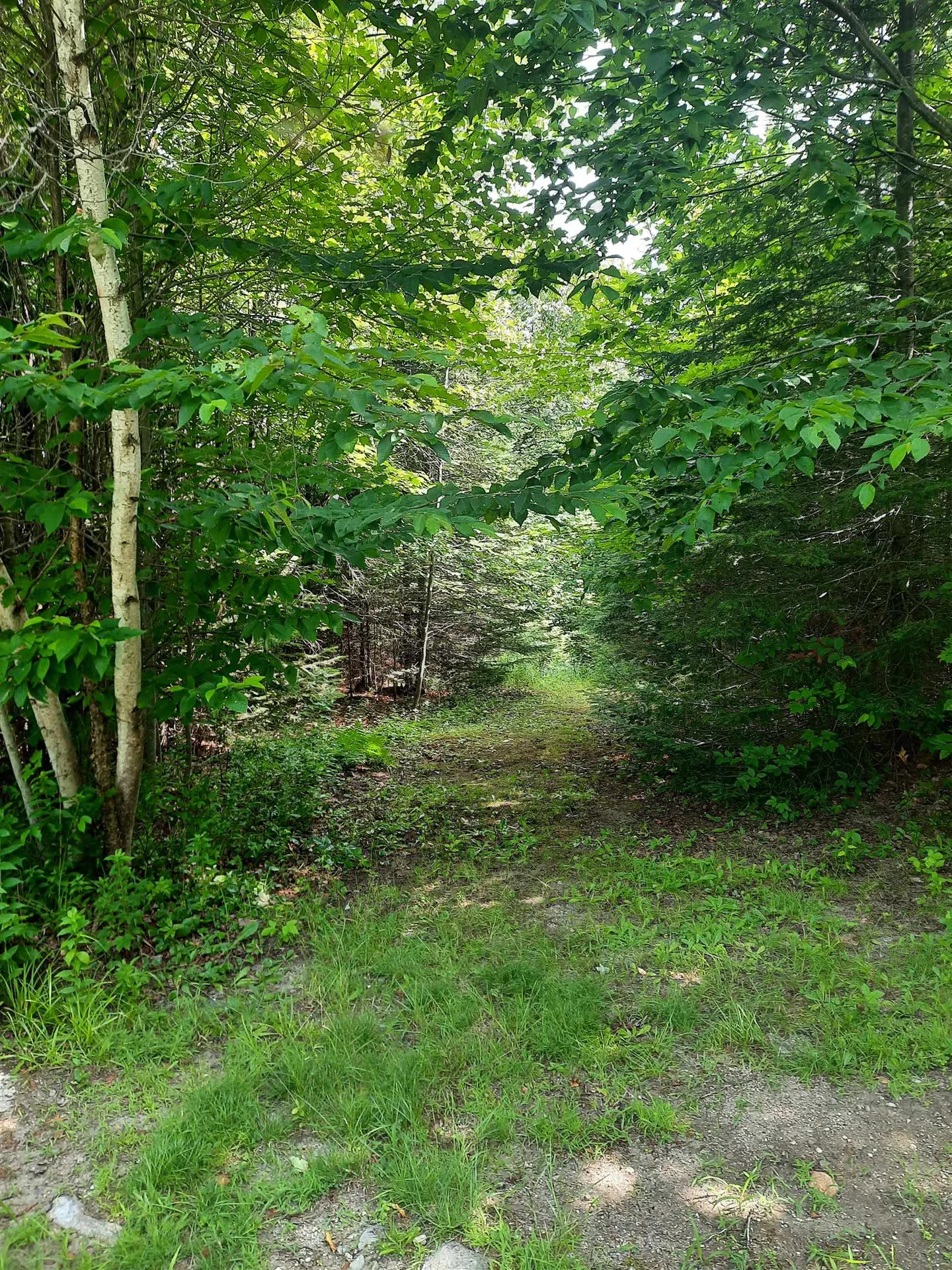 100 Mountain View Lane Norton VT 05907