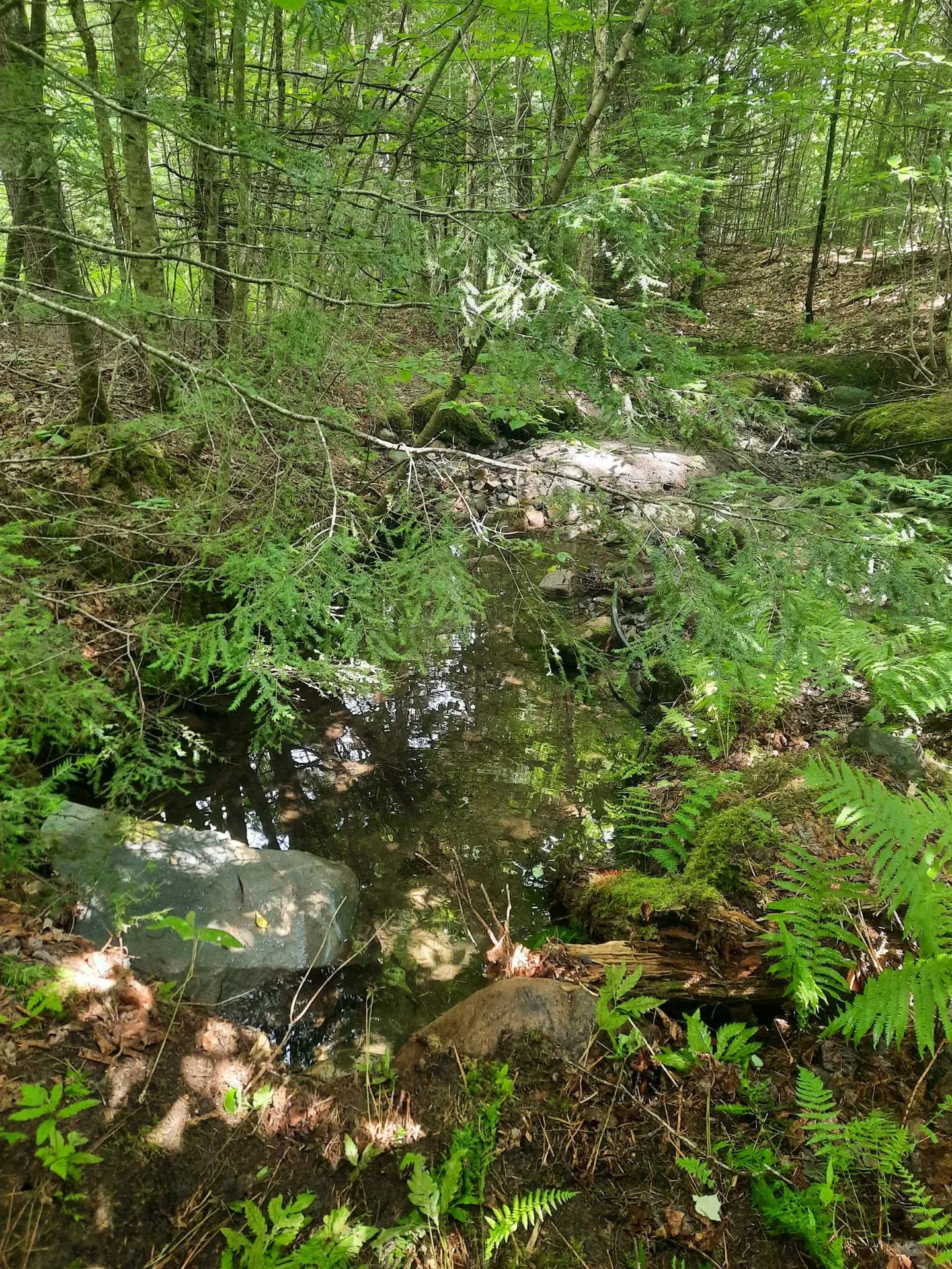 100 Mountain View Lane Norton VT 05907