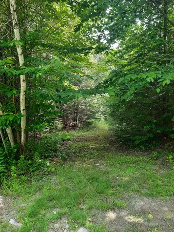 100 Mountain View Lane Norton VT 05907