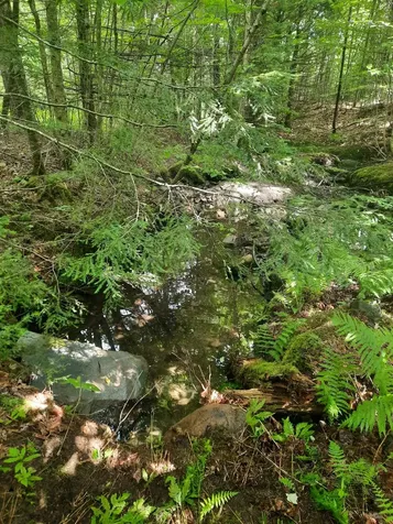 100 Mountain View Lane Norton VT 05907