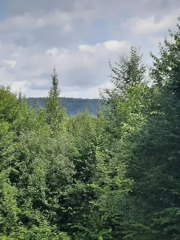 100 Mountain View Lane Norton VT 05907