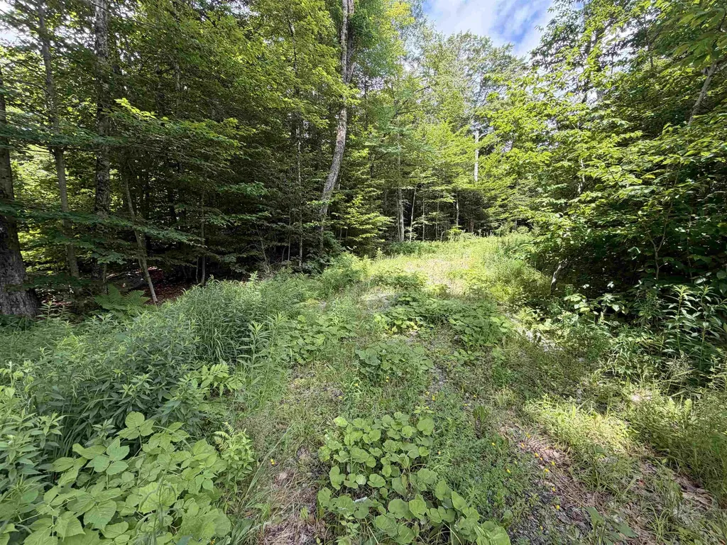 0 Route 100 Dover VT 05356