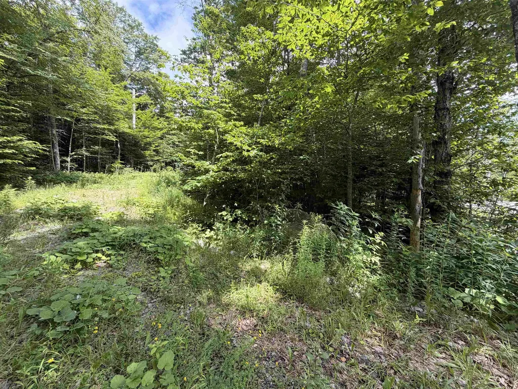 0 Route 100 Dover VT 05356