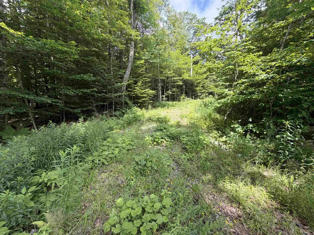 0 Route 100 Dover VT 05356