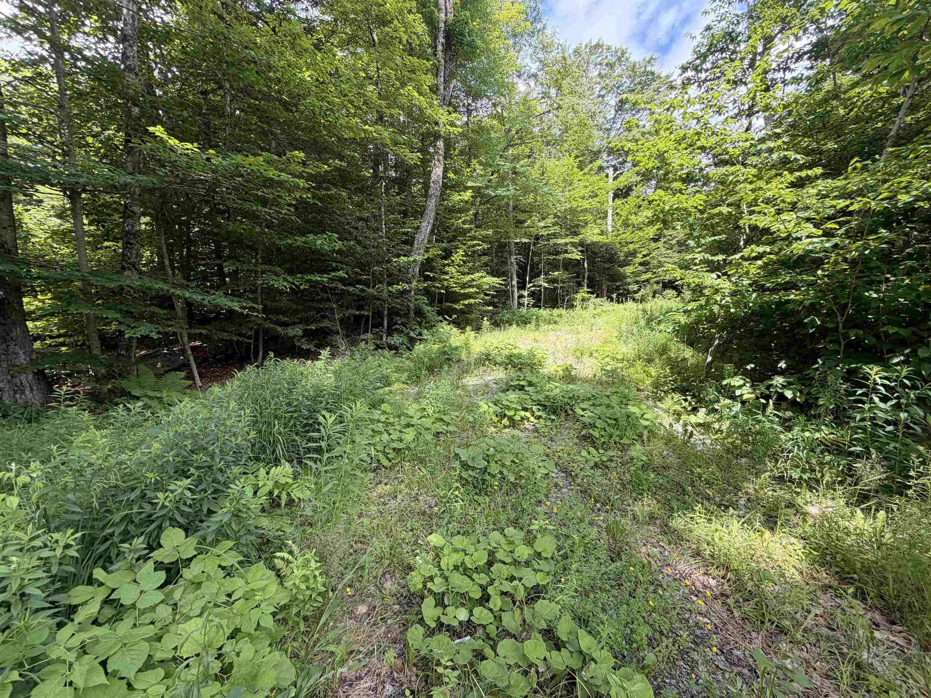 0 Route 100 Dover VT 05356