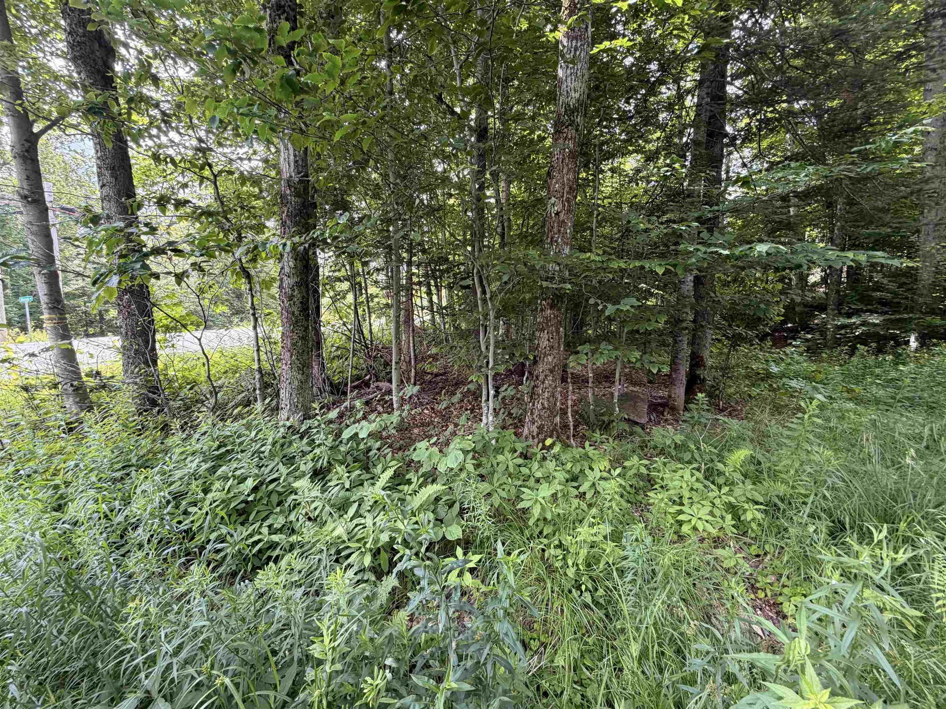 0 Route 100 Dover VT 05356