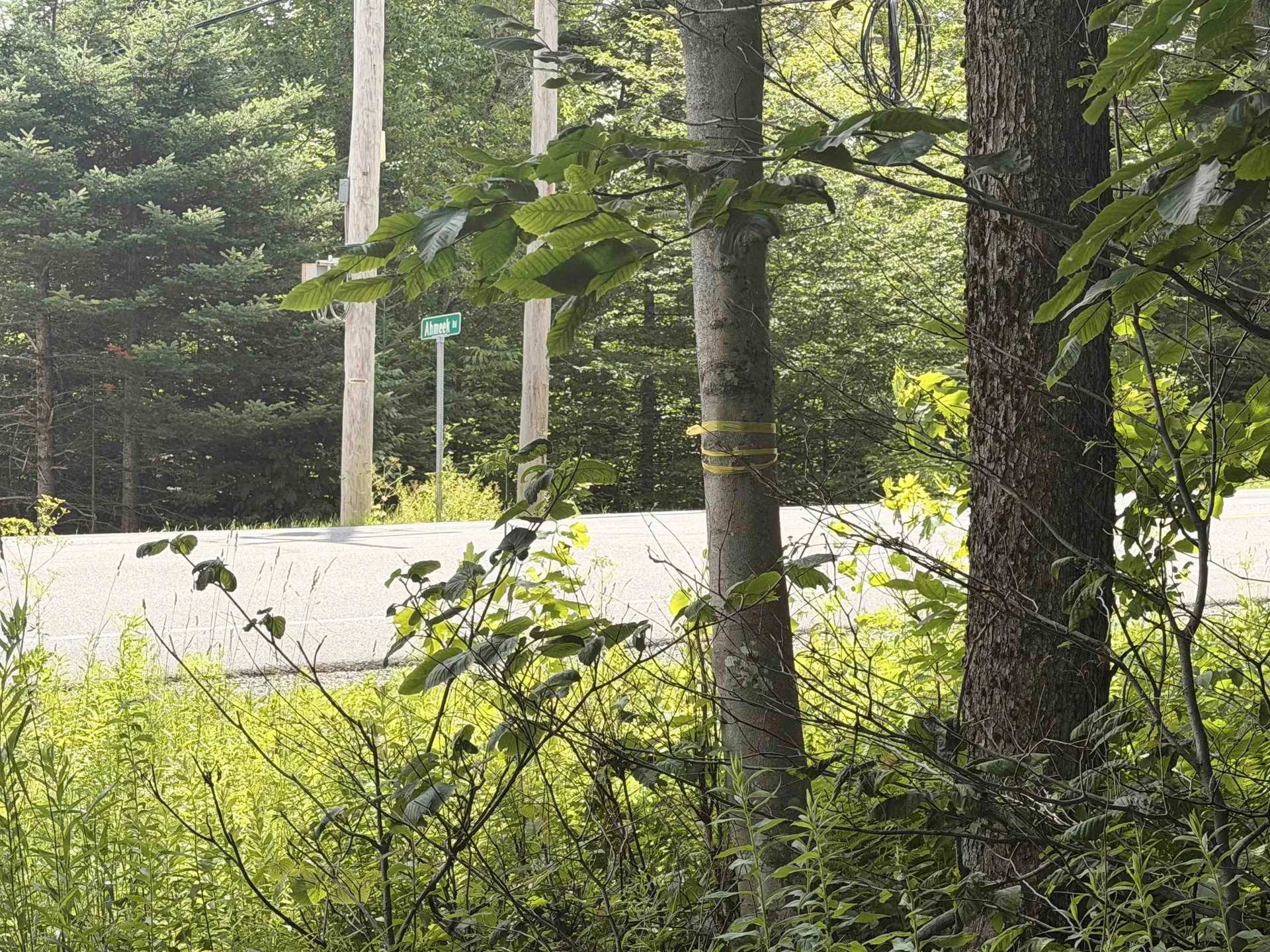 0 Route 100 Dover VT 05356