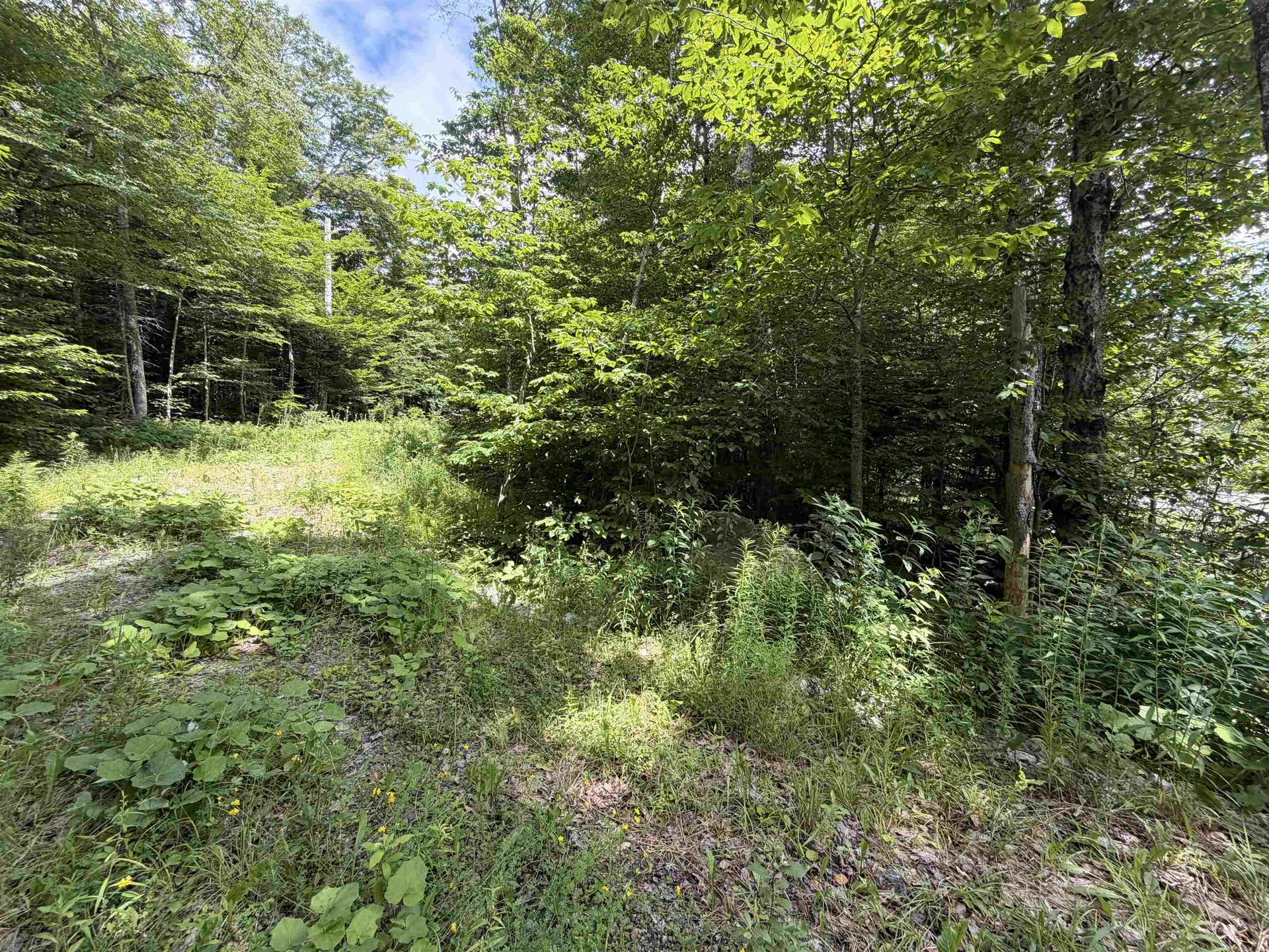 0 Route 100 Dover VT 05356