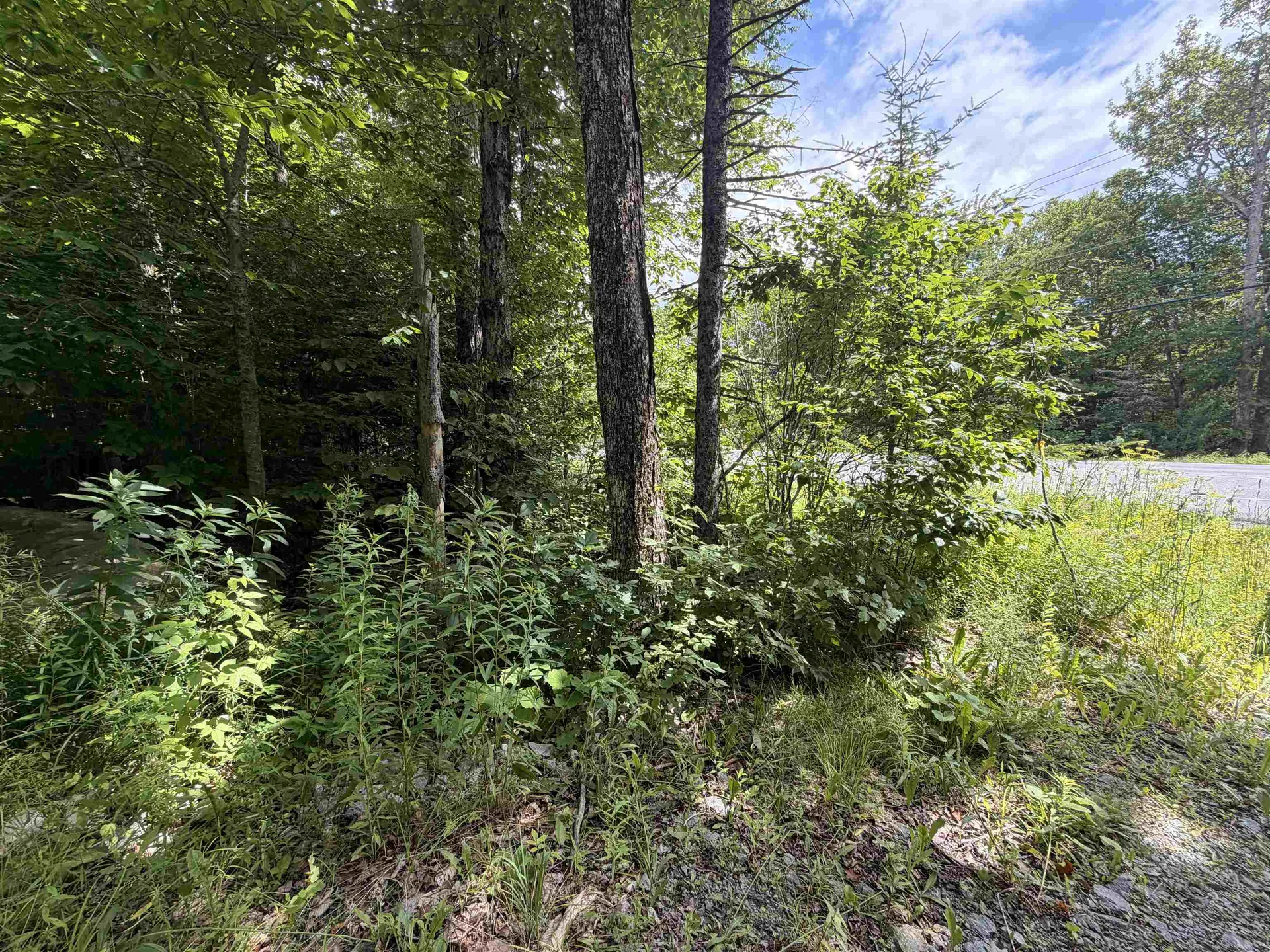 0 Route 100 Dover VT 05356