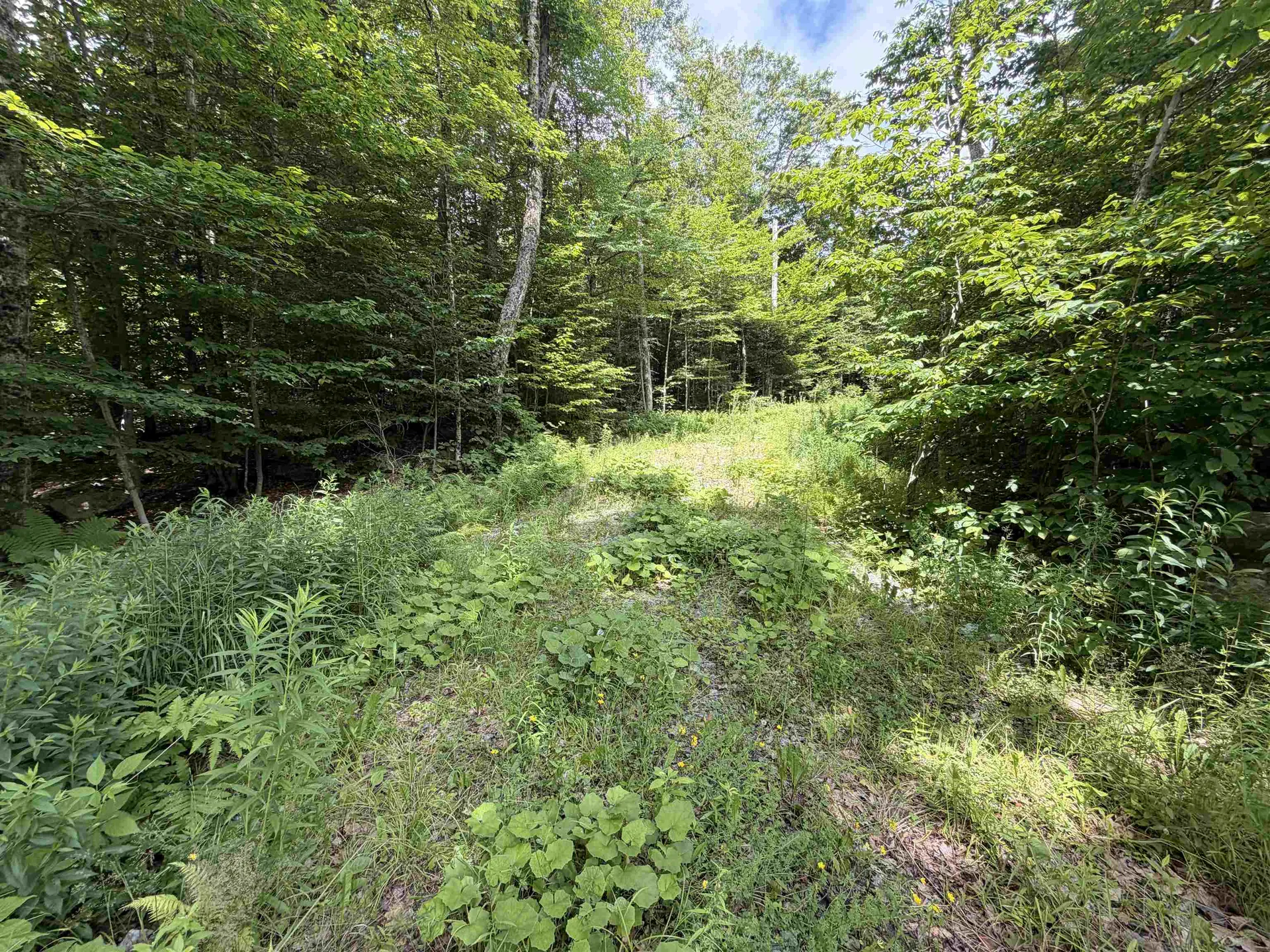 0 Route 100 Dover VT 05356