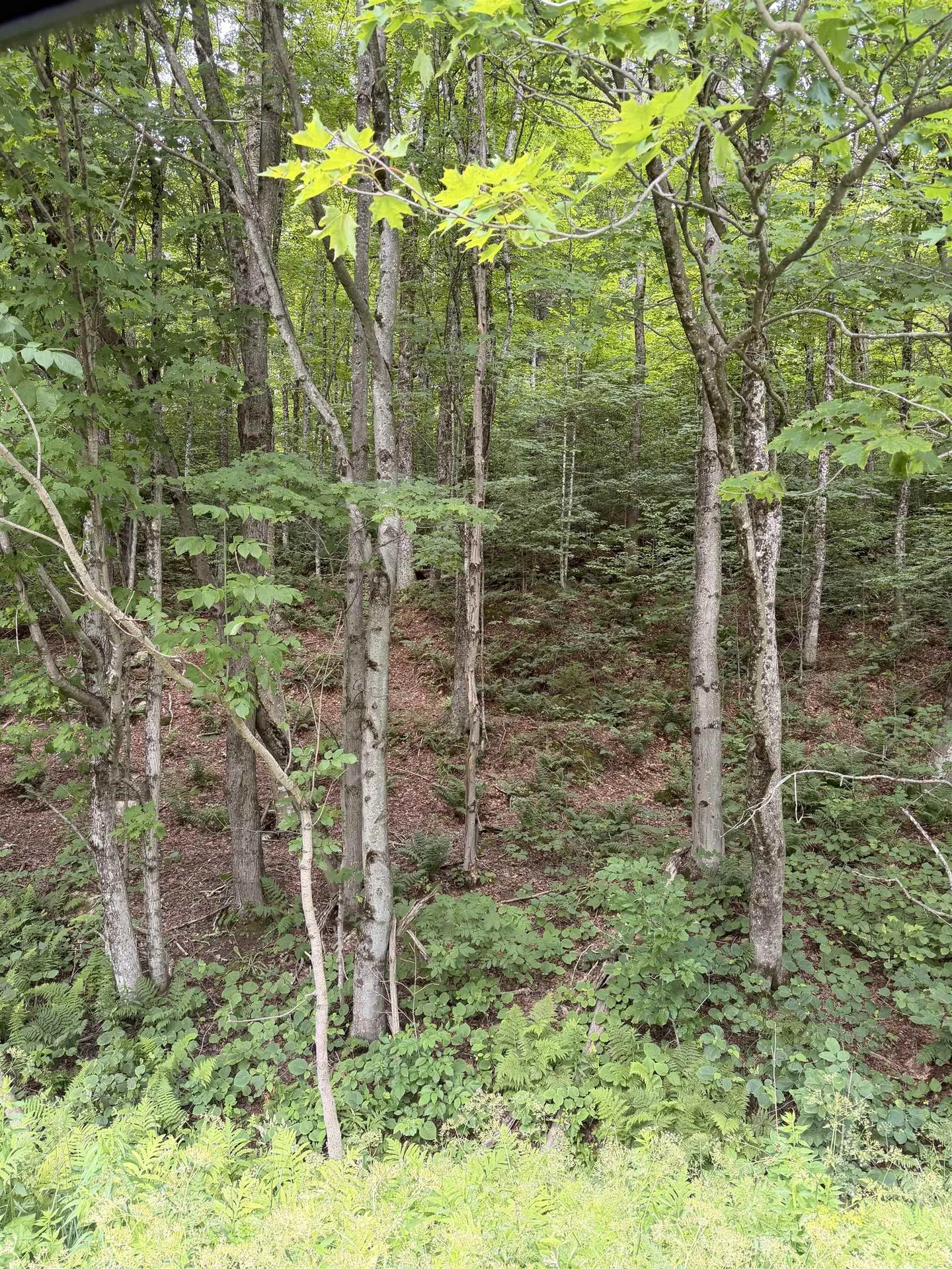 0 Route 100 Dover VT 05356
