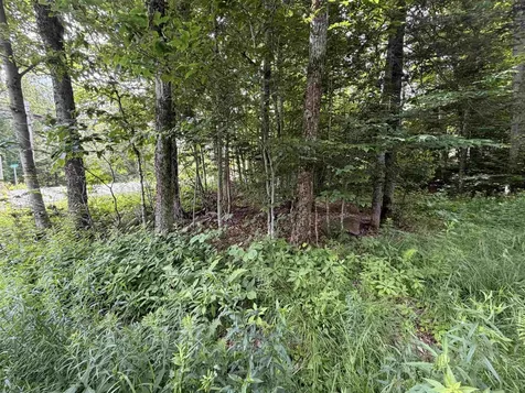 0 Route 100 Dover VT 05356