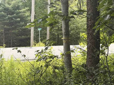 0 Route 100 Dover VT 05356