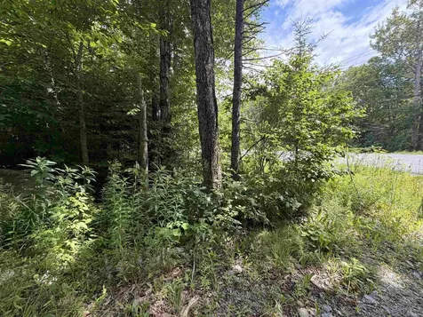 0 Route 100 Dover VT 05356