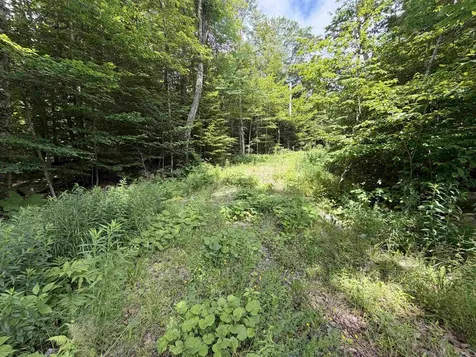 0 Route 100 Dover VT 05356