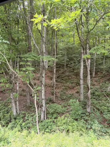 0 Route 100 Dover VT 05356