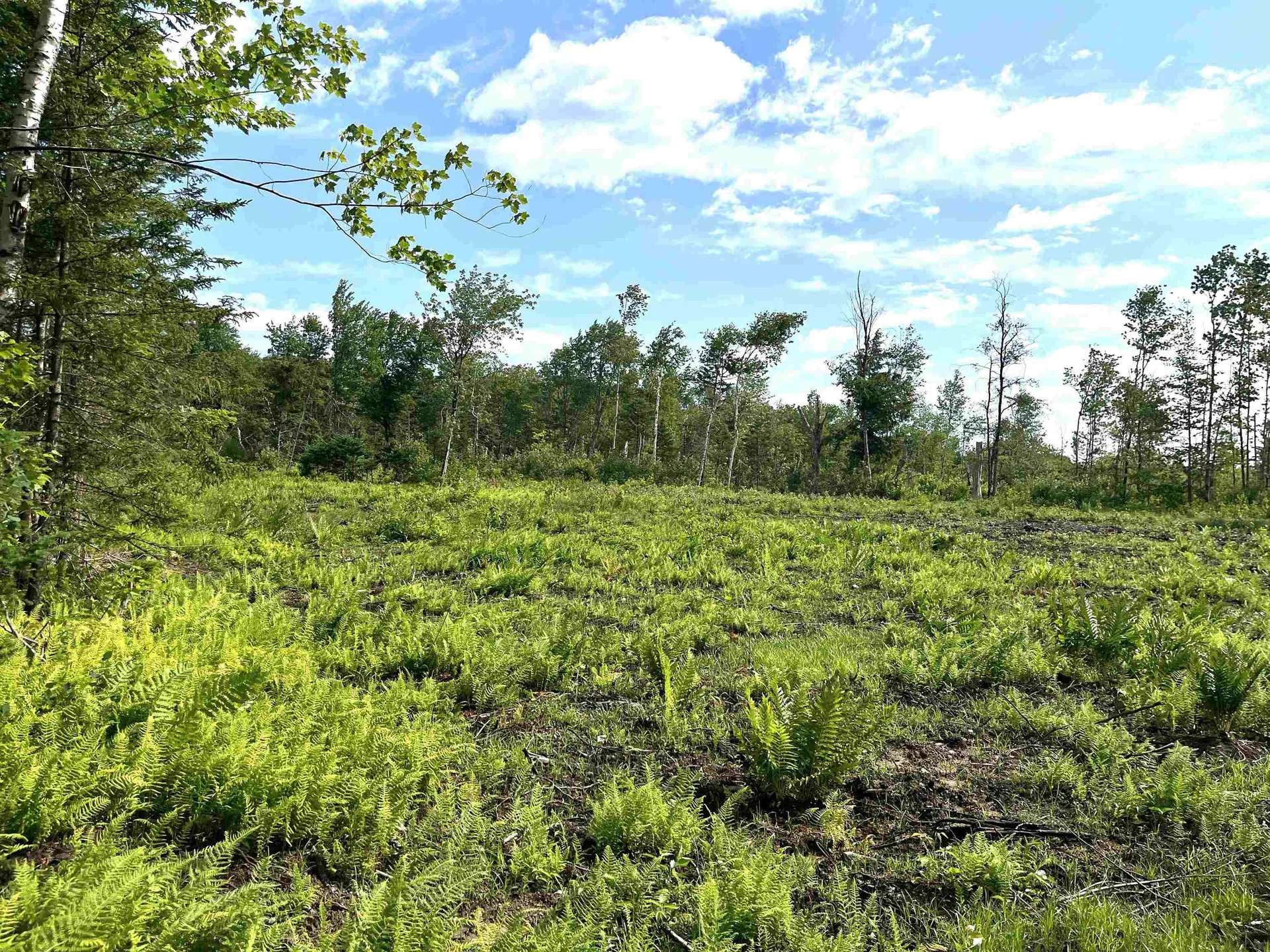 286 Tranquility Lane Jay VT 05859
