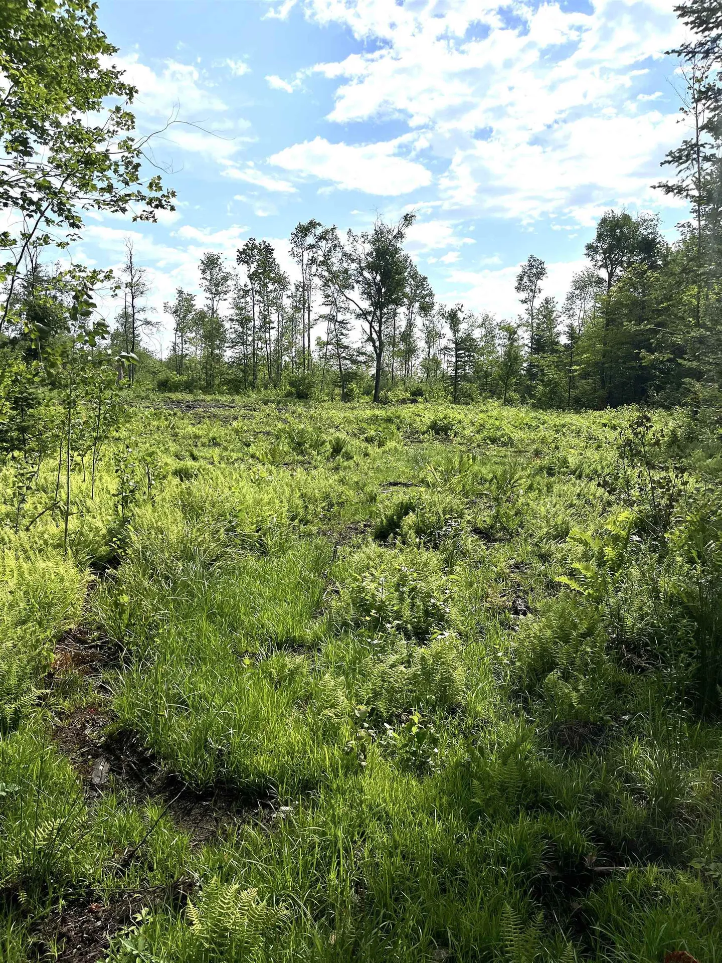 286 Tranquility Lane Jay VT 05859