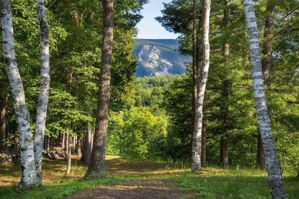 275 East Street Wallingford VT 05773