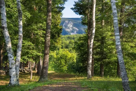 275 East Street Wallingford VT 05773