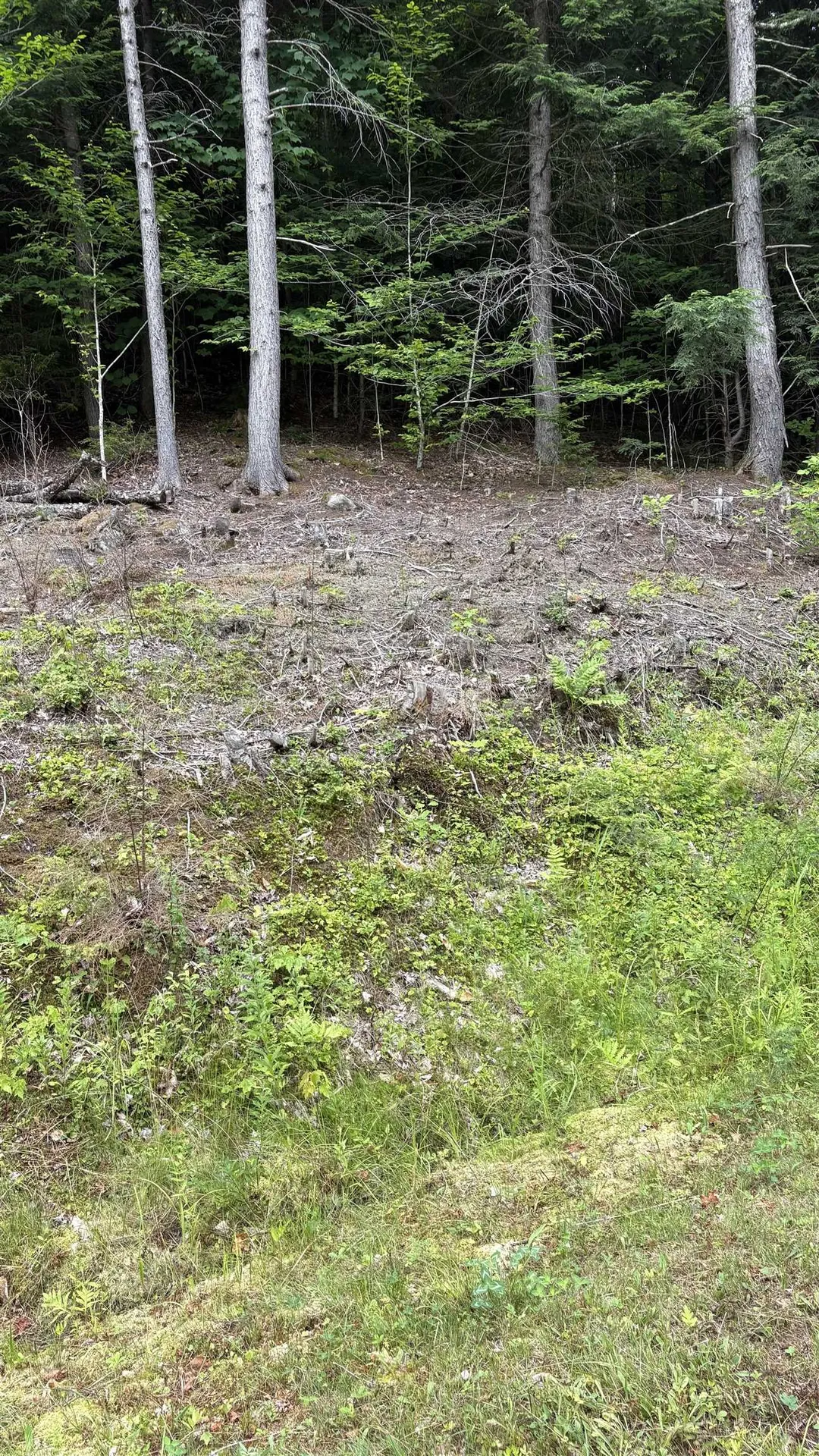 17 Waterthorn Road Thornton NH 03285