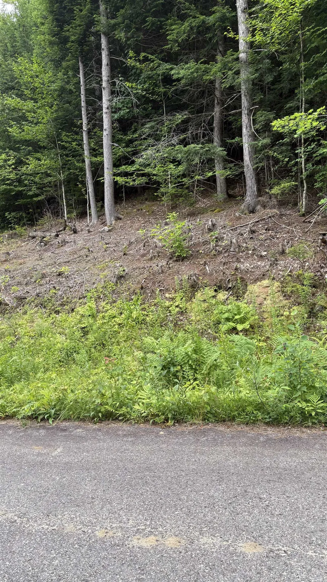 17 Waterthorn Road Thornton NH 03285