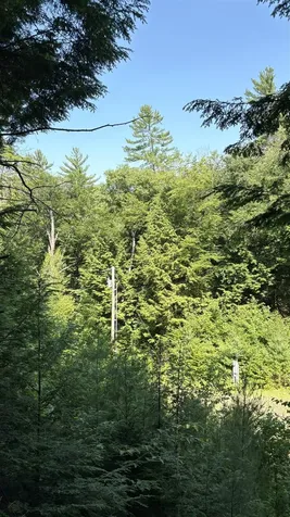 17 Waterthorn Road Thornton NH 03285
