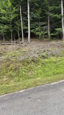 17 Waterthorn Road Thornton NH 03285