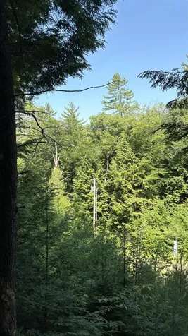 17 Waterthorn Road Thornton NH 03285