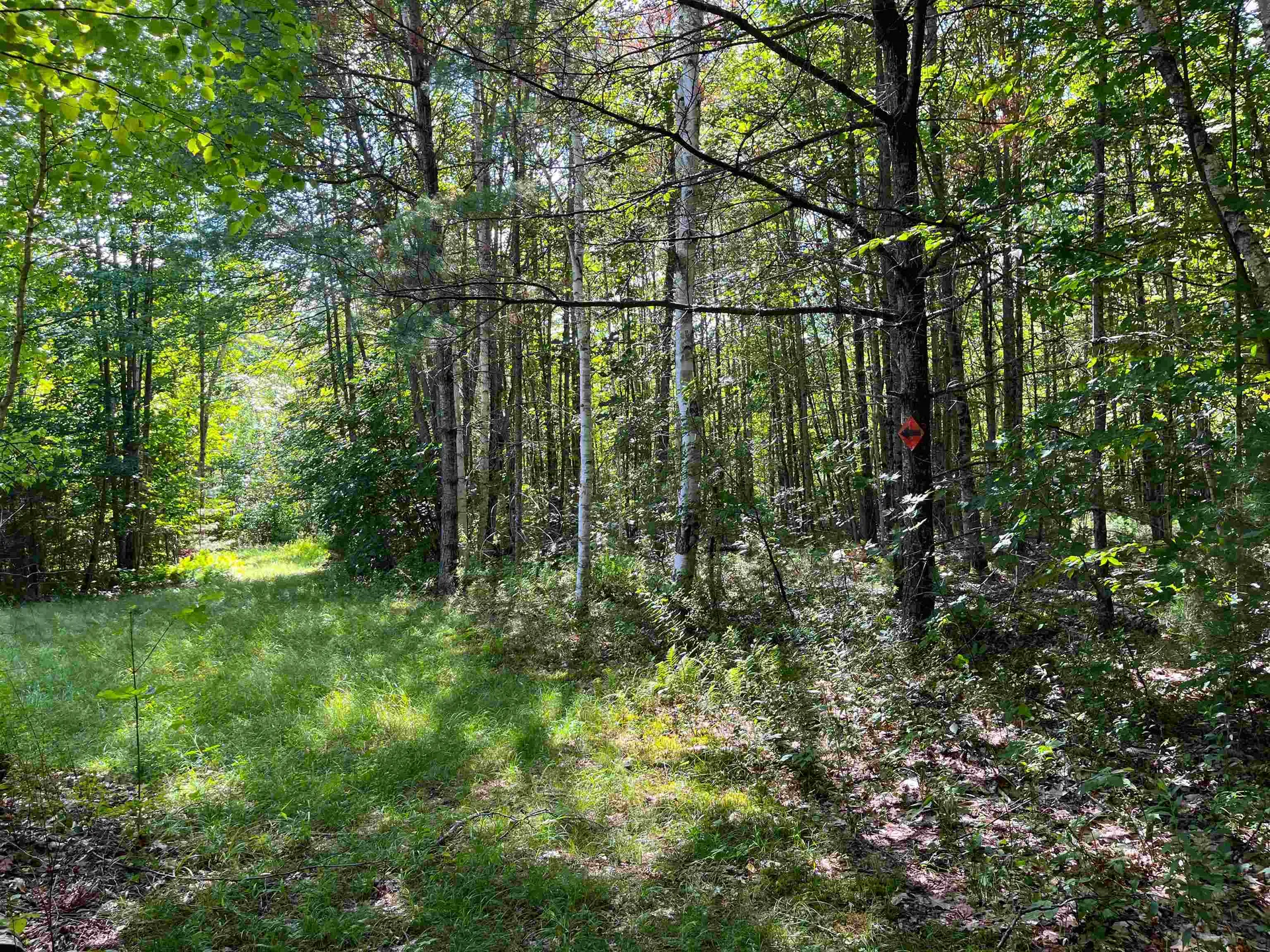 146 Lang Road Monroe NH 03771