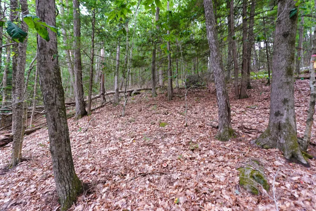 000 Burt Hill Road Winchester NH 03455