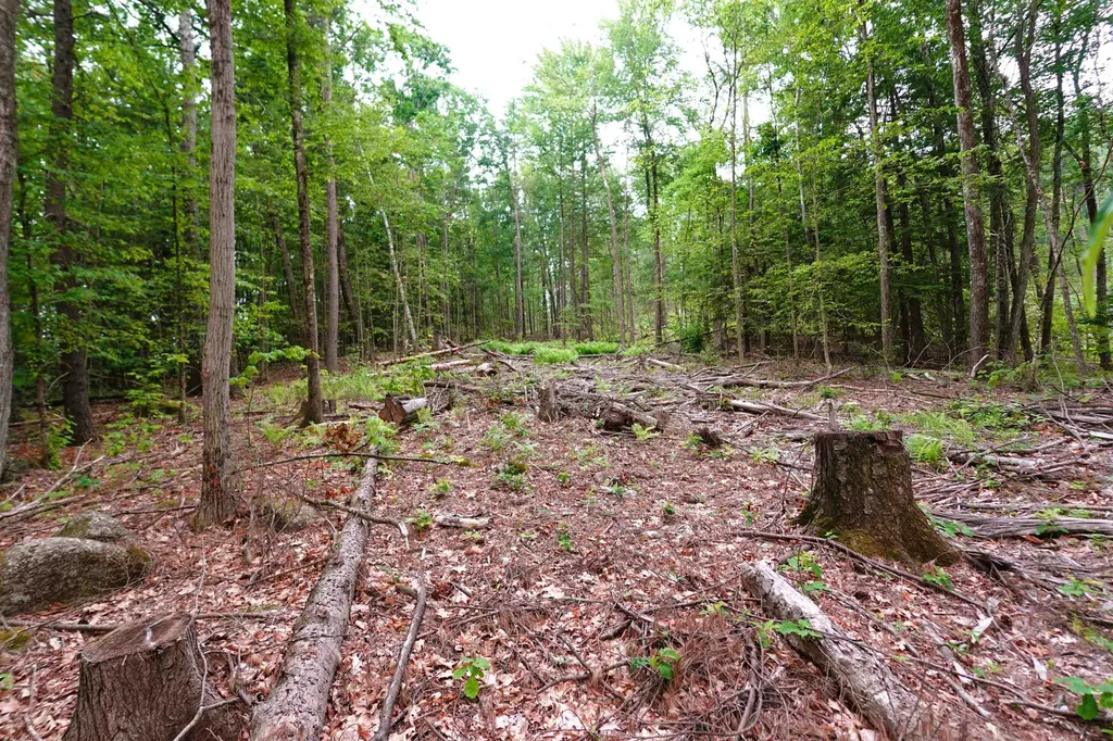 000 Burt Hill Road Winchester NH 03455