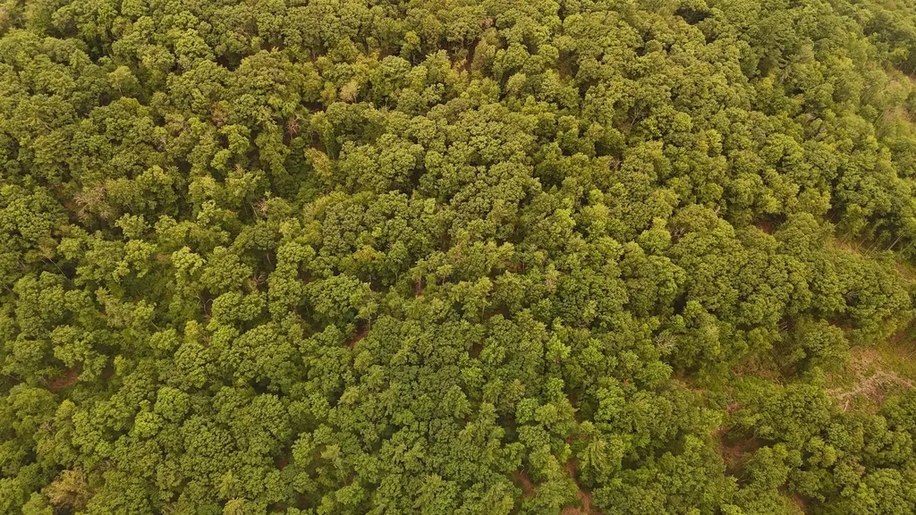 000 Burt Hill Road Winchester NH 03455