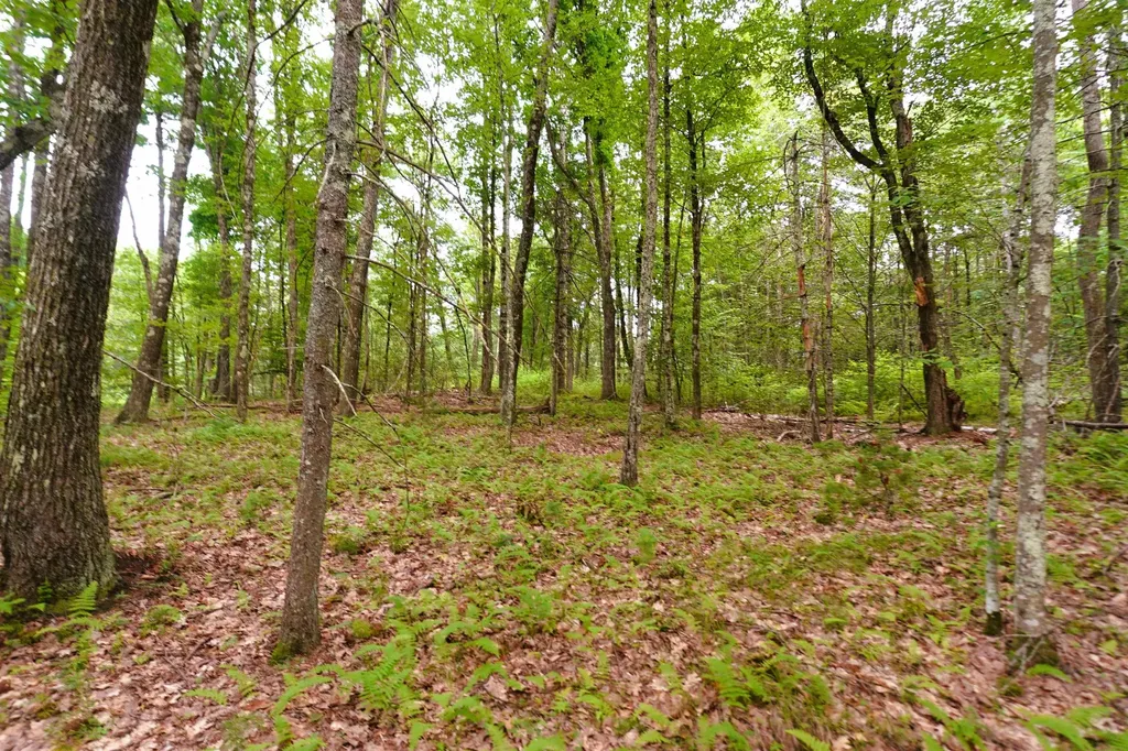 000 Burt Hill Road Winchester NH 03455