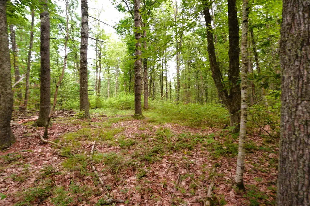 000 Burt Hill Road Winchester NH 03455