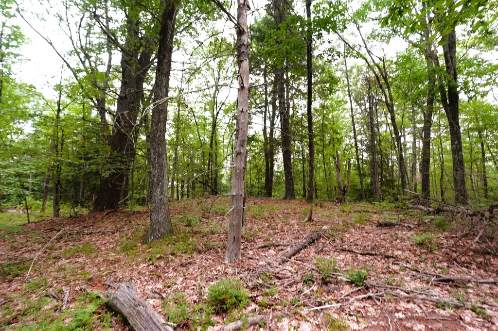 000 Burt Hill Road Winchester NH 03455