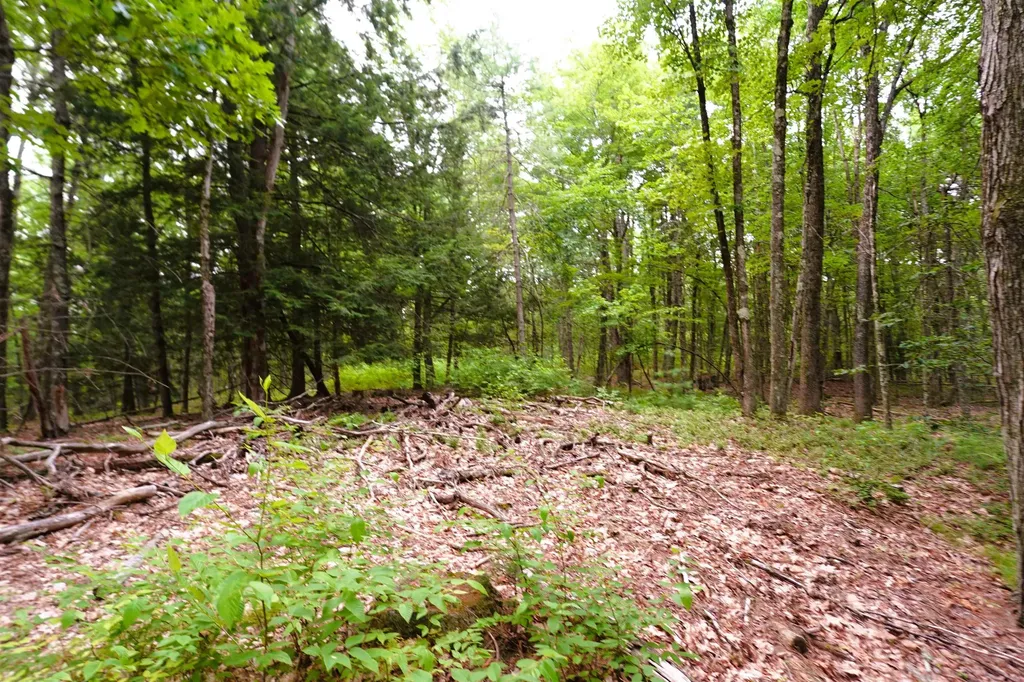 000 Burt Hill Road Winchester NH 03455