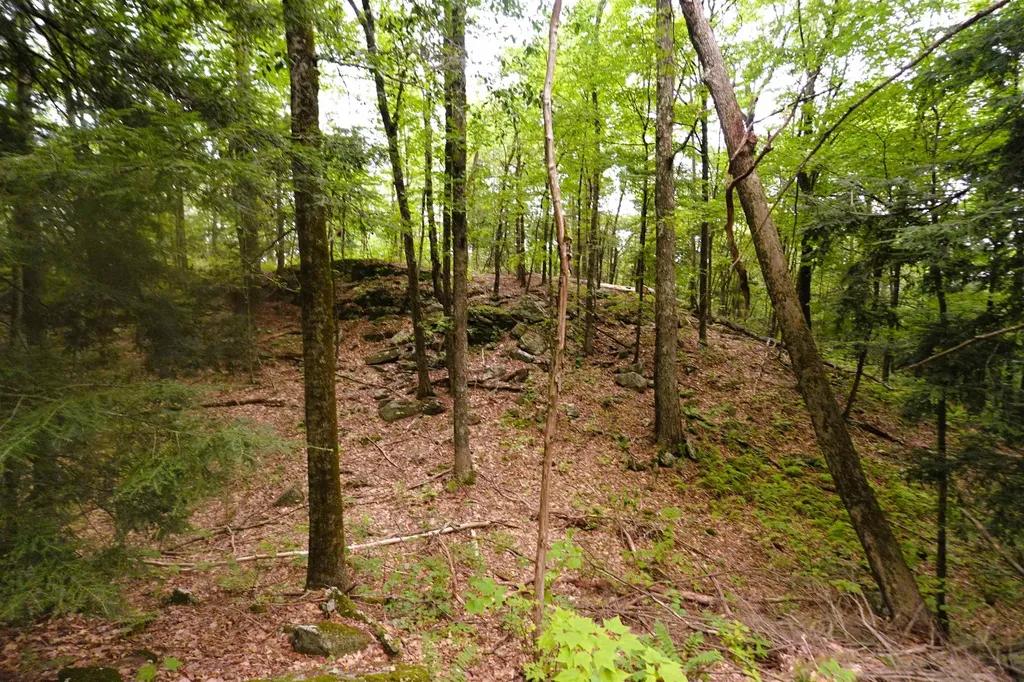 000 Burt Hill Road Winchester NH 03455
