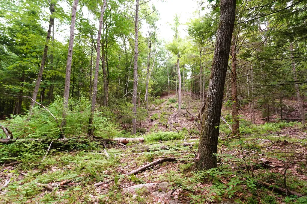 000 Burt Hill Road Winchester NH 03455