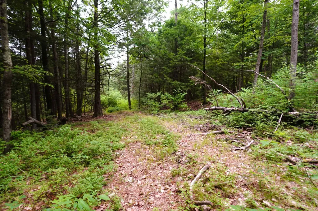 000 Burt Hill Road Winchester NH 03455