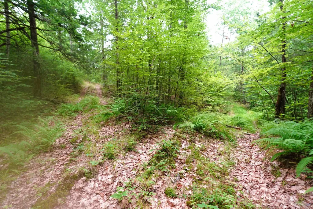 000 Burt Hill Road Winchester NH 03455