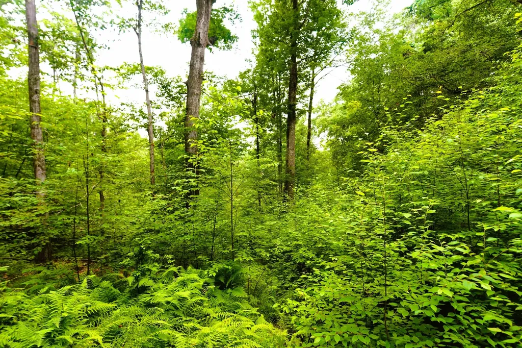 000 Burt Hill Road Winchester NH 03455