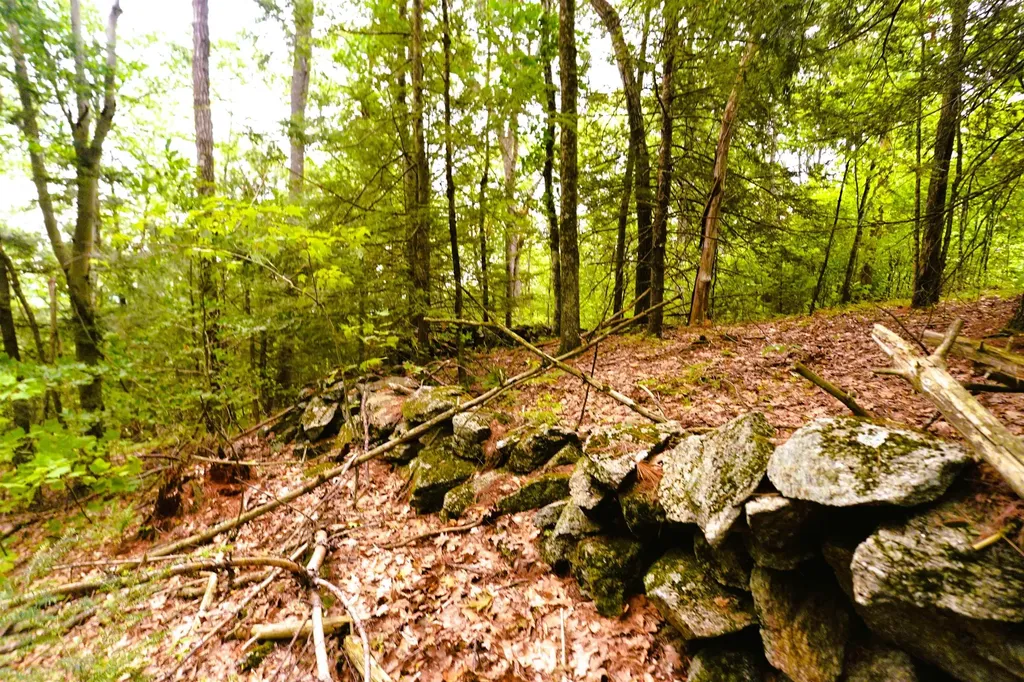 000 Burt Hill Road Winchester NH 03455