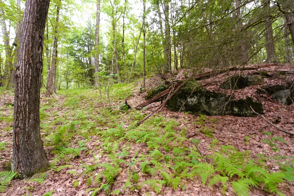 000 Burt Hill Road Winchester NH 03455