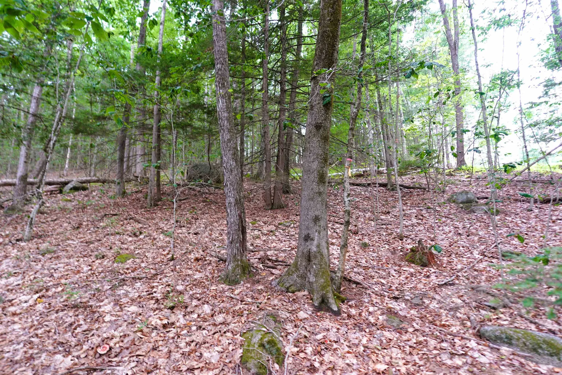 000 Burt Hill Road Winchester NH 03455